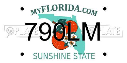 790LM Florida License Plate