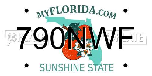 790NWF Florida License Plate