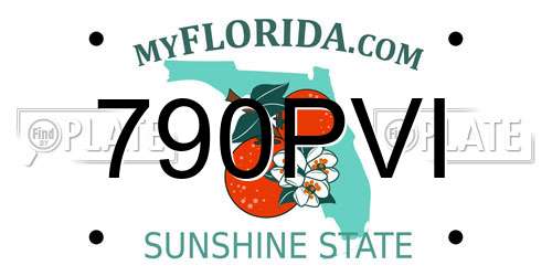 790PVI Florida License Plate