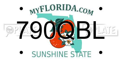 790QBL Florida License Plate
