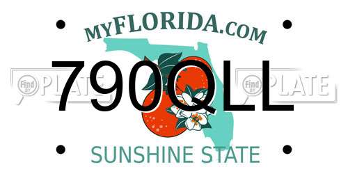 790QLL Florida License Plate