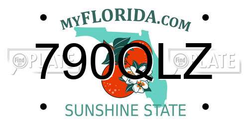 790QLZ Florida License Plate