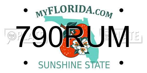 790RUM Florida License Plate