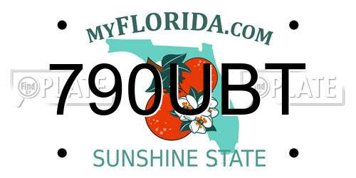 790UBT Florida License Plate