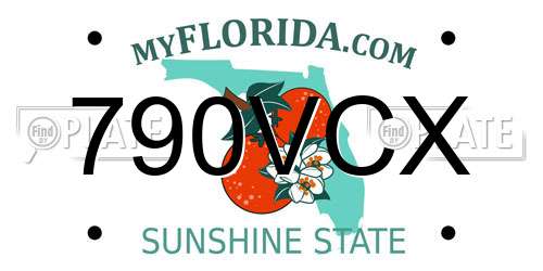 790VCX Florida License Plate