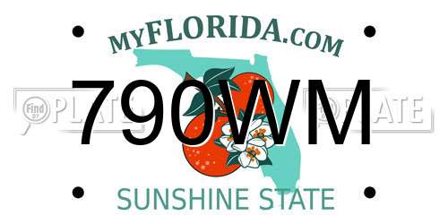 790WM Florida License Plate