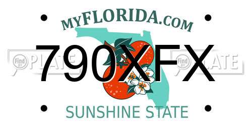 790XFX Florida License Plate