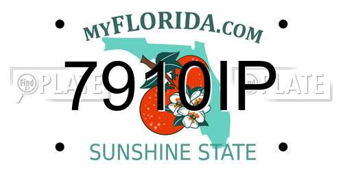 7910IP Florida License Plate