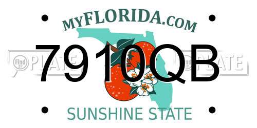 7910QB Florida License Plate