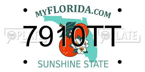 7910TT Florida License Plate