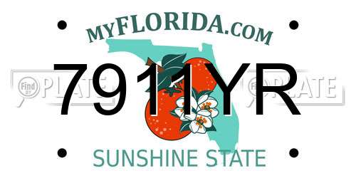 7911YR Florida License Plate