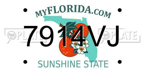 7914VJ Florida License Plate