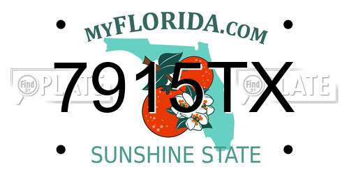 7915TX Florida License Plate