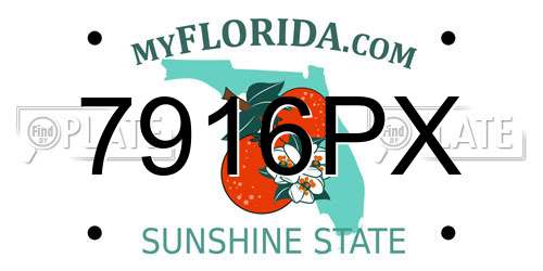 7916PX Florida License Plate