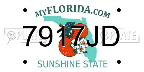 7917JD Florida License Plate