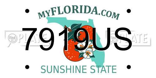 7919US Florida License Plate