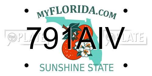 791AIV Florida License Plate