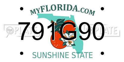 791G90 Florida License Plate