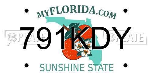 791KDY Florida License Plate