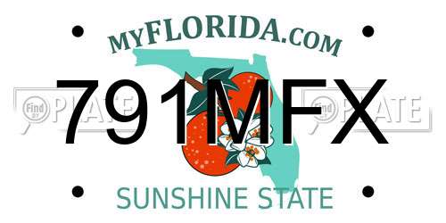 791MFX Florida License Plate