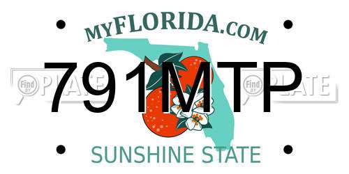 791MTP Florida License Plate