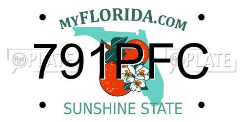 791PFC Florida License Plate