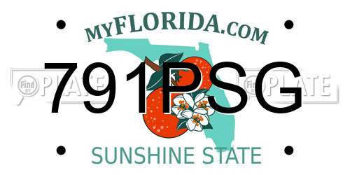 791PSG Florida License Plate