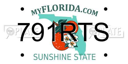 791RTS Florida License Plate