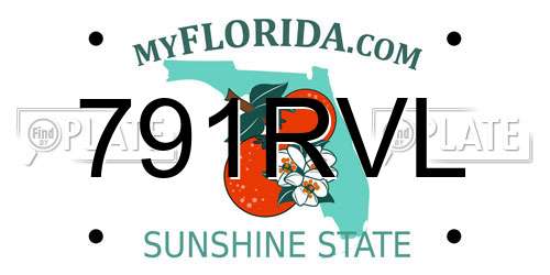 791RVL Florida License Plate