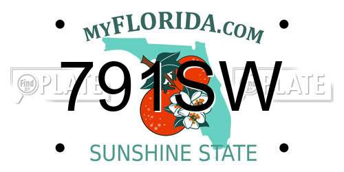 791SW Florida License Plate