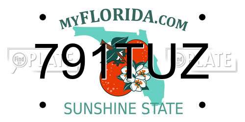 791TUZ Florida License Plate
