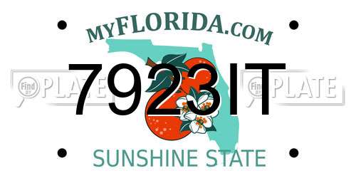 7923IT Florida License Plate
