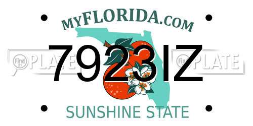 7923IZ Florida License Plate
