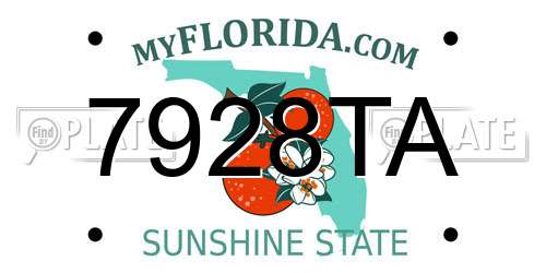 7928TA Florida License Plate