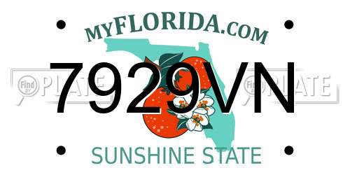 7929VN Florida License Plate