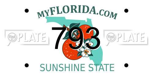 793 Florida License Plate