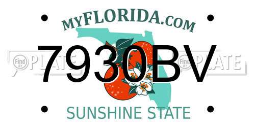 7930BV Florida License Plate