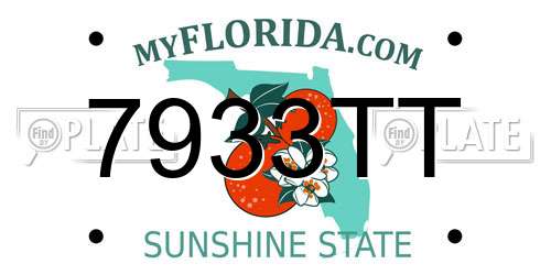 7933TT Florida License Plate