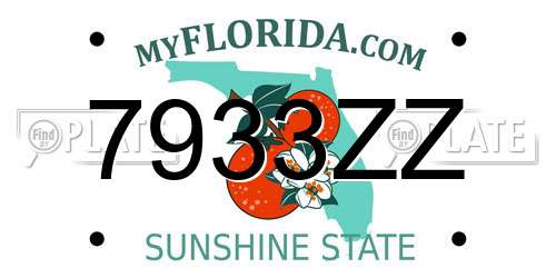 7933ZZ Florida License Plate