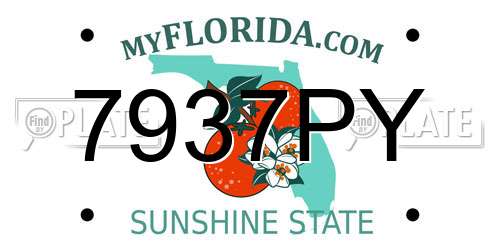 7937PY Florida License Plate