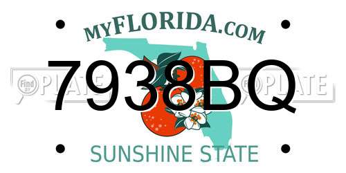 7938BQ Florida License Plate