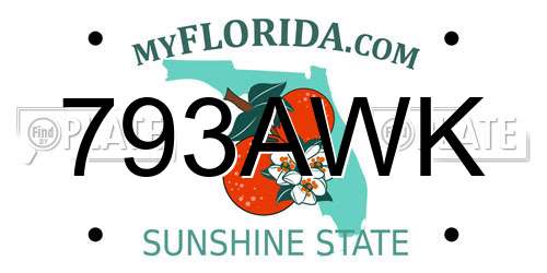 793AWK Florida License Plate