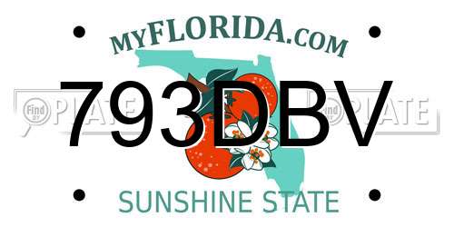 793DBV Florida License Plate
