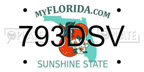 793DSV Florida License Plate