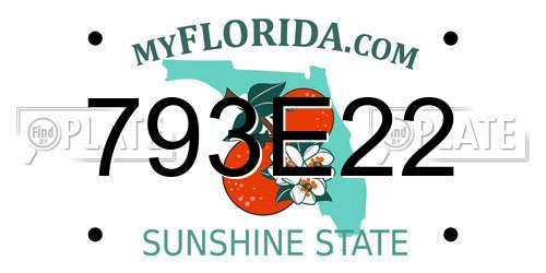 793E22 Florida License Plate