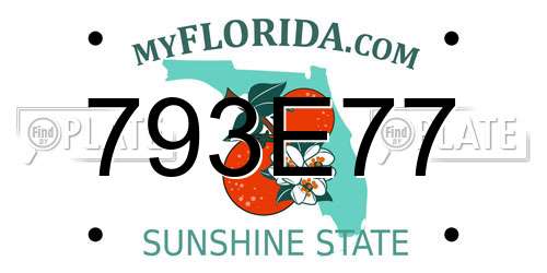 793E77 Florida License Plate