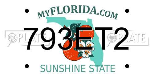 793ET2 Florida License Plate