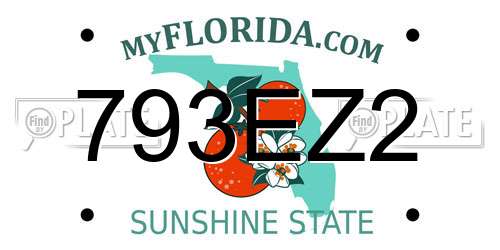 793EZ2 Florida License Plate