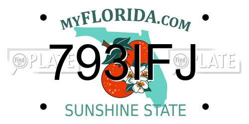 793IFJ Florida License Plate