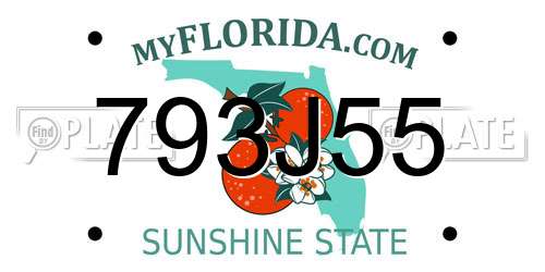 793J55 Florida License Plate